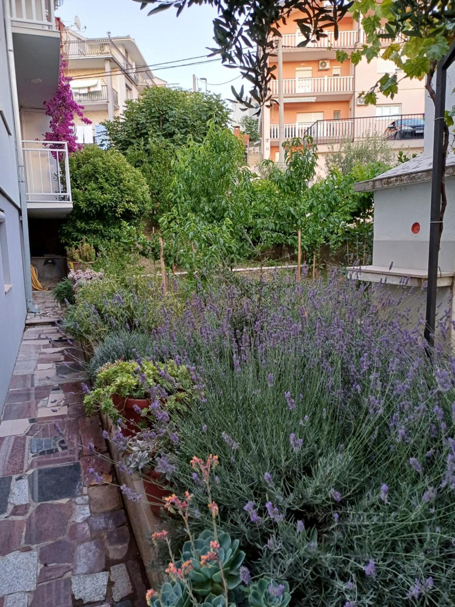 Apartment Sano Подстрана Екстериор снимка